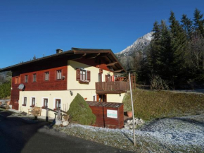 Spacious Holiday Home near Ski Area in Leogang